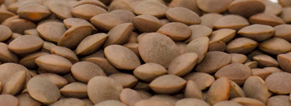 Pulses  Legumes Beans